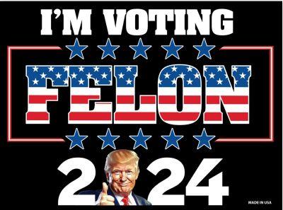 I'm voting felon 2024 poster design.