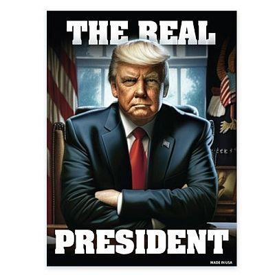 Illustration of a man labeled "The Real President".