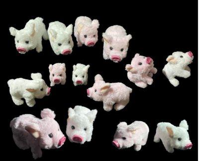 Plush toy pigs arranged on black background.